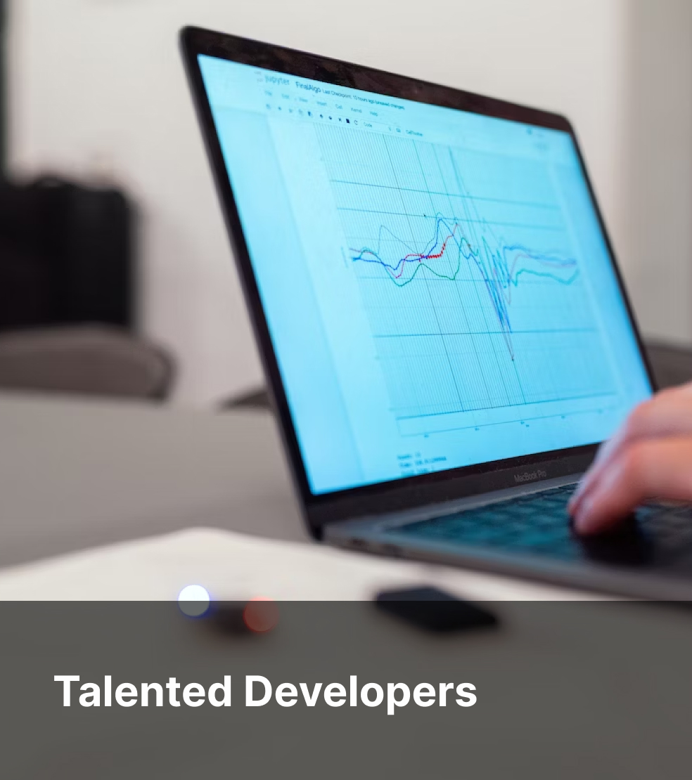 Talented Developers
